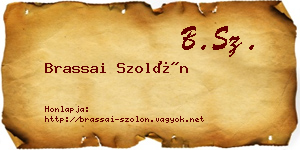 Brassai Szolón névjegykártya